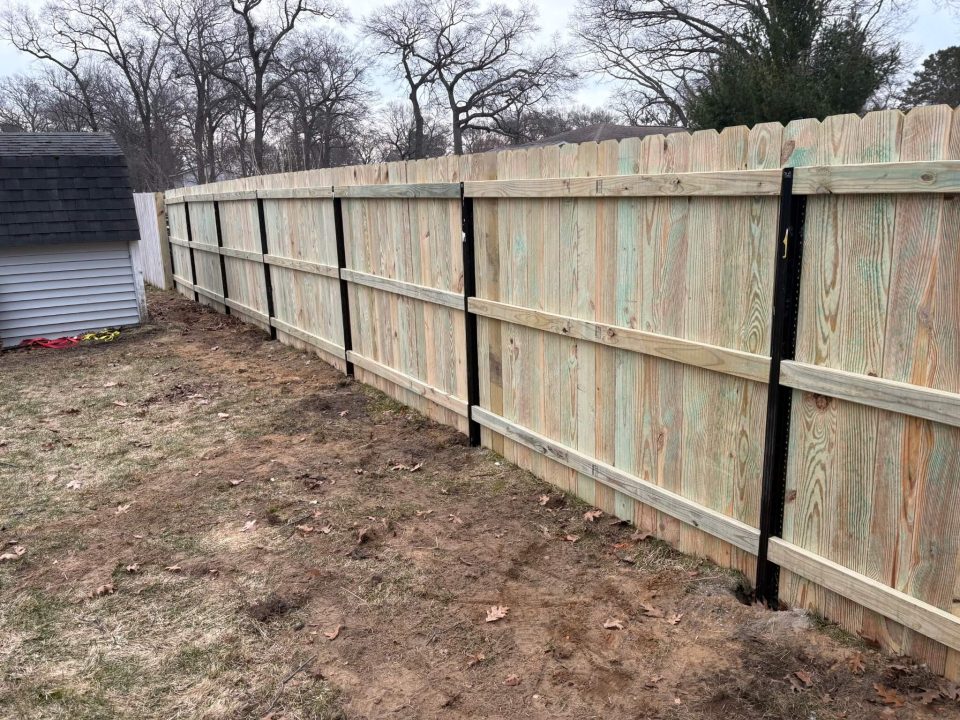 Wood Fencing in backyard